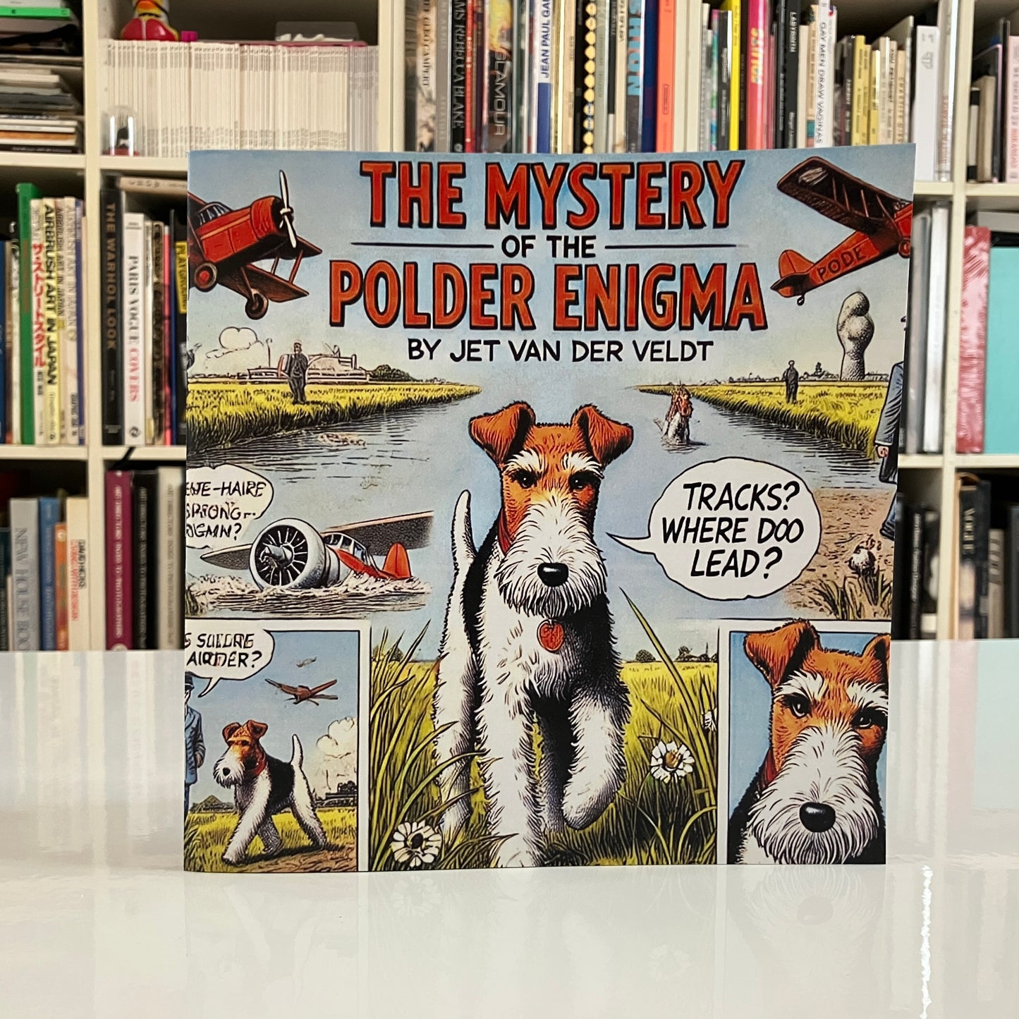 The Mystery of the Polder Enigma
