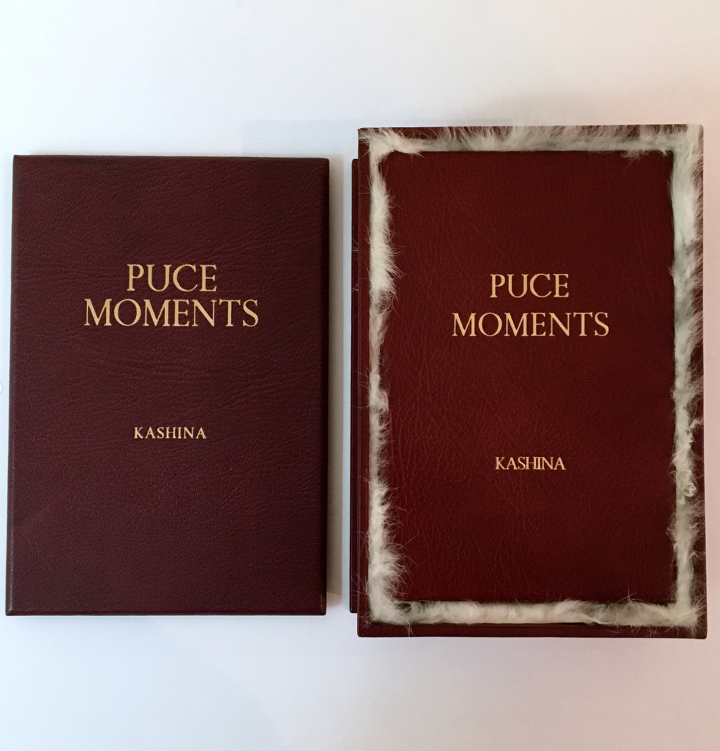Puce Moments by Kashina (Deluxe Edition)