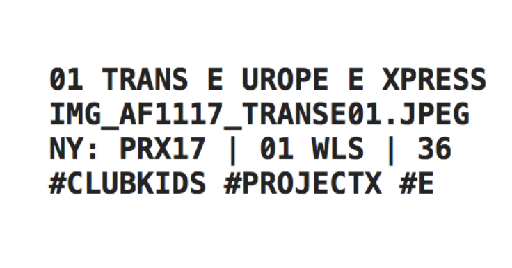 TRANS_E_UROP_E_XPRESS (Large)