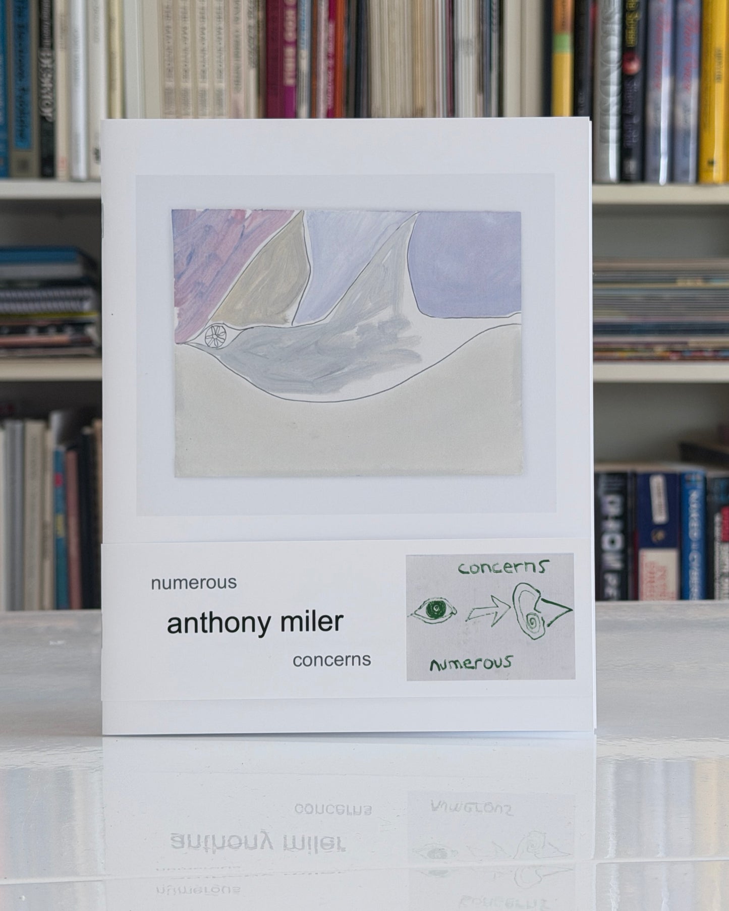 Anthony Miler: Numerous Concerns
