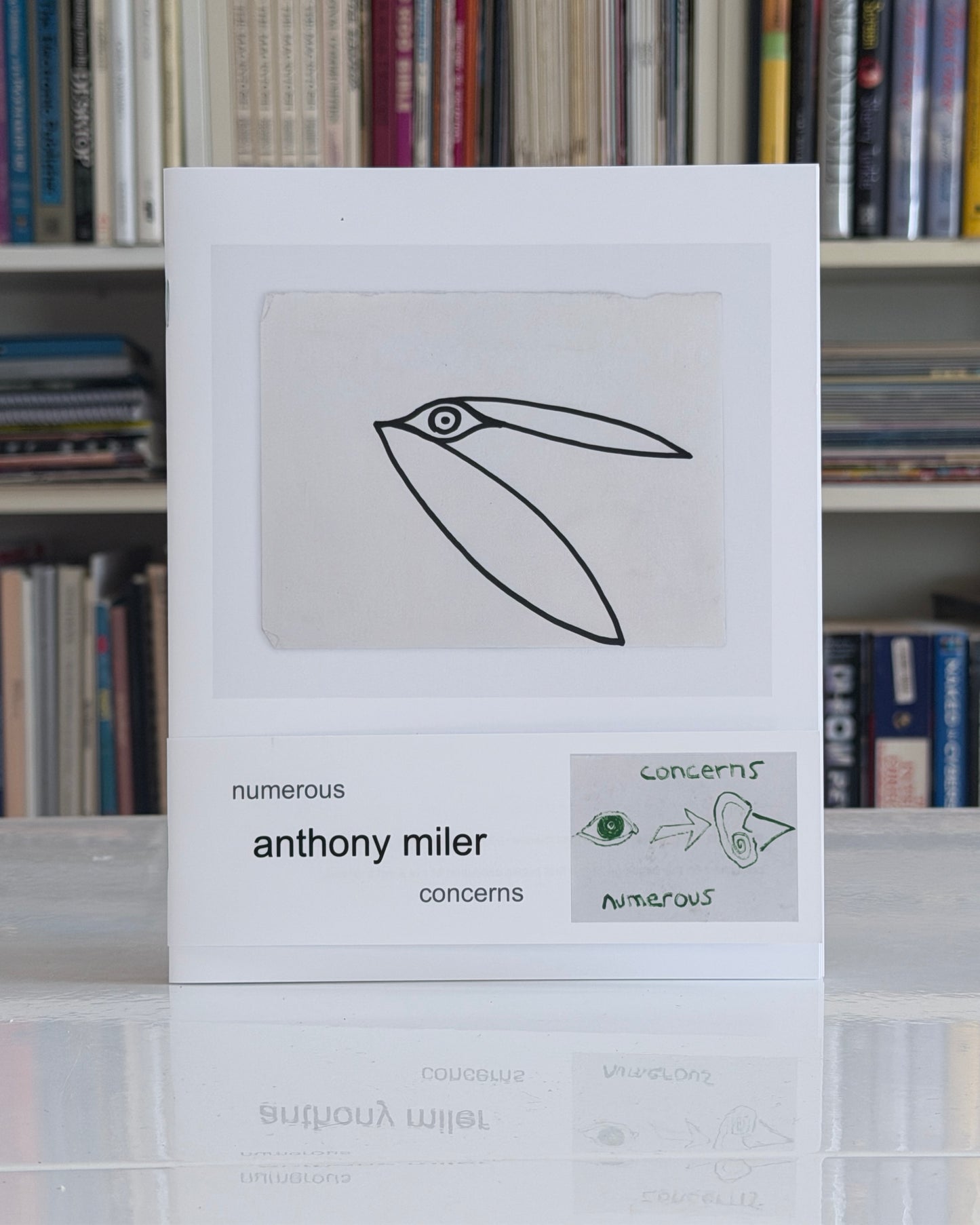 Anthony Miler: Numerous Concerns