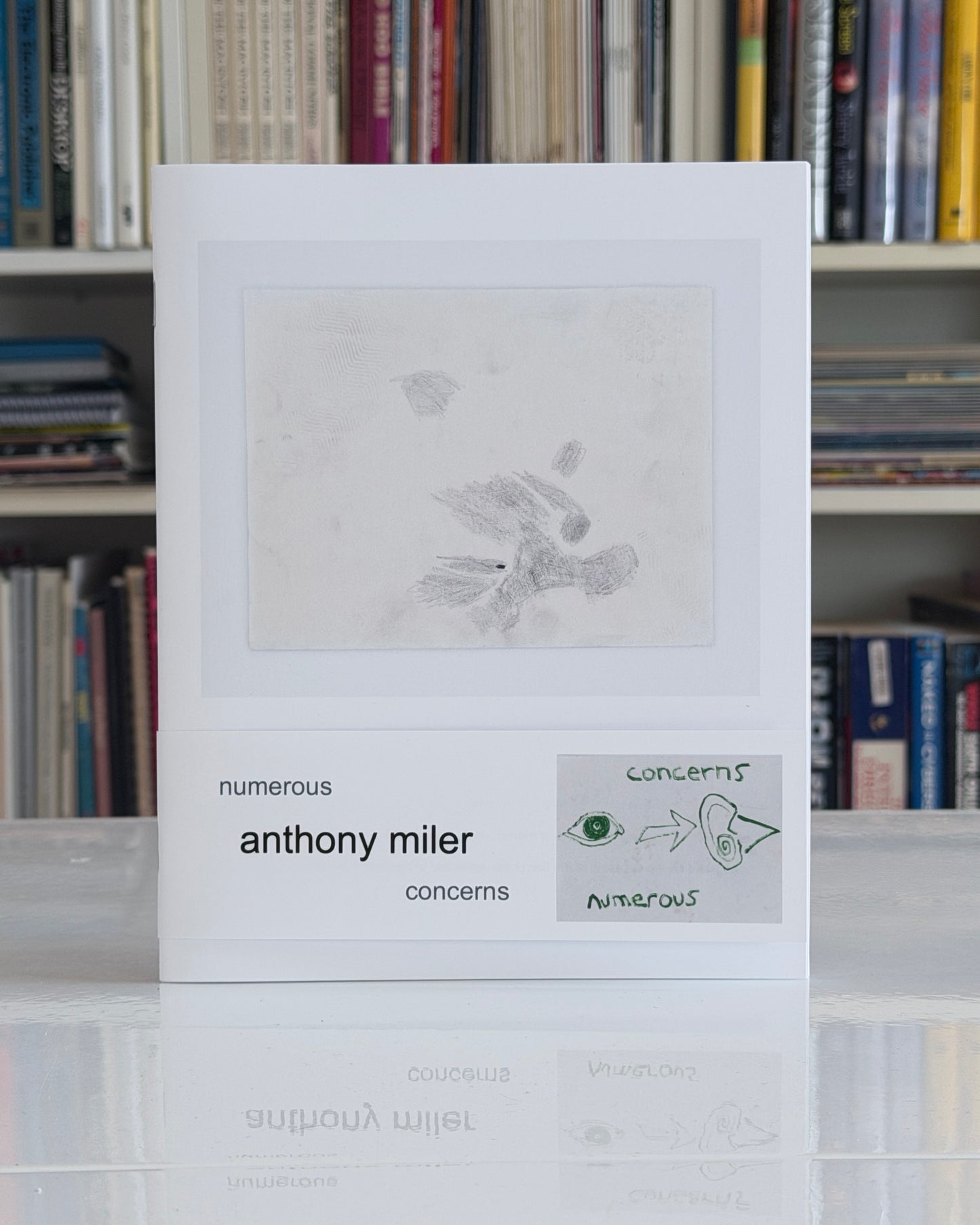 Anthony Miler: Numerous Concerns