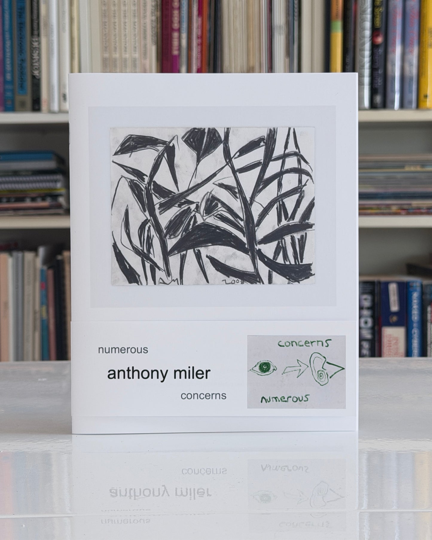 Anthony Miler: Numerous Concerns