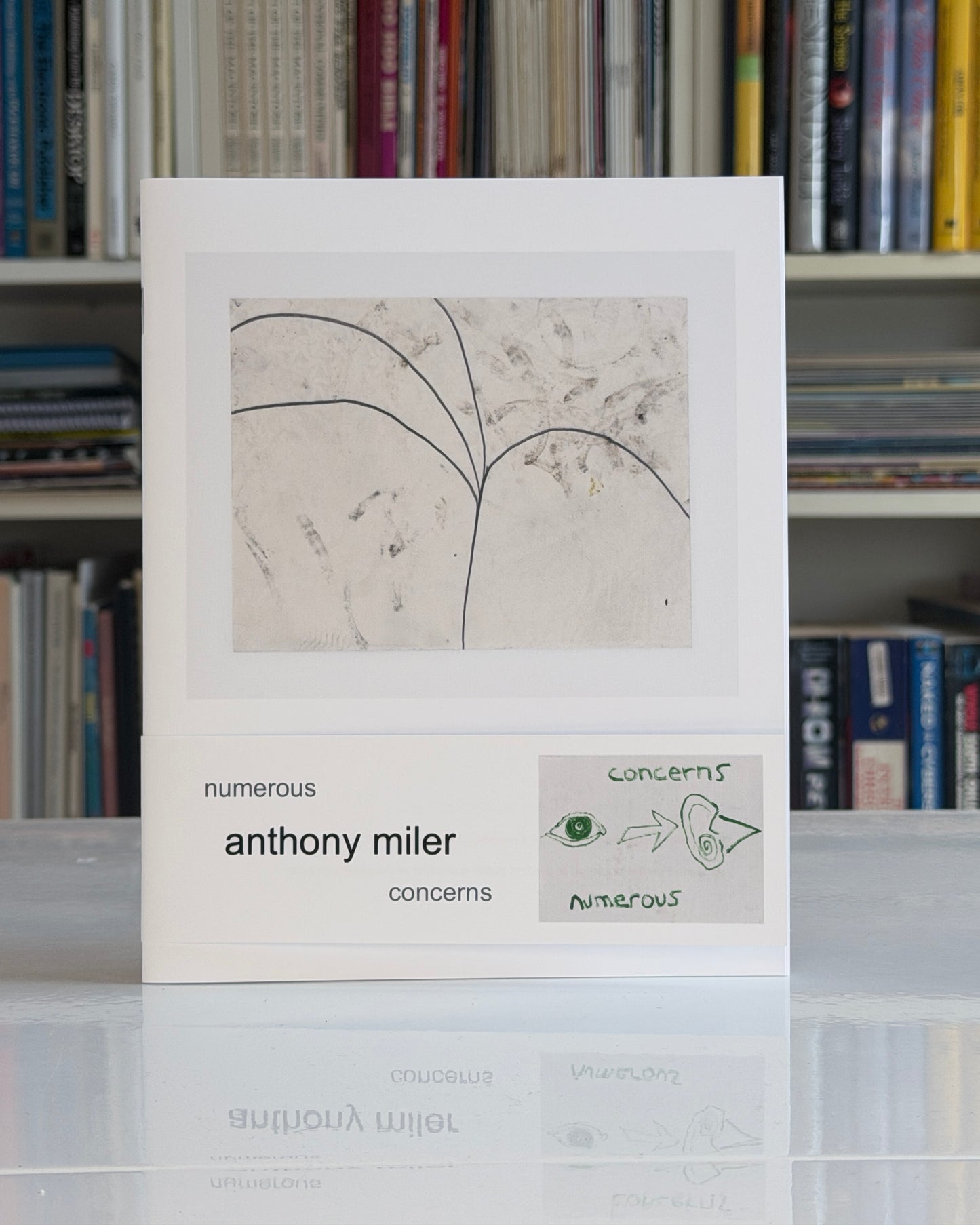 Anthony Miler: Numerous Concerns